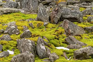 Fence: Antarctica, South Orkney Islands, Signy Island. Boulders and