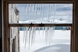 Deception: Antarctica, South Shetland Islands, Icicles