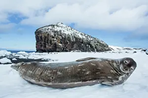 Deception: Antarctica, South Shetland Islands, Weddell