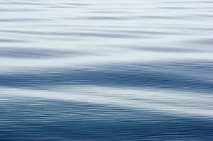 Tranquillity: Antarctica, Southern Ocean. Calm sea