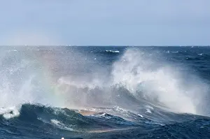 Powell: Antarctica, Southern Ocean. Heavy seas and