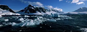 Austral: Antarctica, Wiencke Island, Evening sun