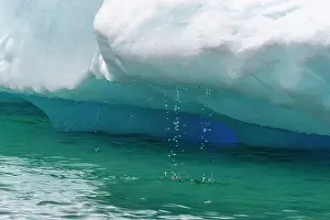 Melting: Antarctica, Yalour Islands. Close-up of melting iceberg
