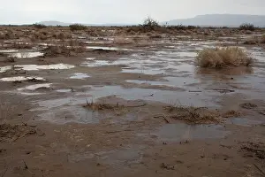 Floods: Anza Borrego Desert - flooding after heavy winter rains