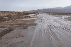 Floods: Anza Borrego Desert - flooding after heavy winter rains