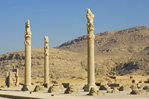 Alyssa Giustozzi: Apadana Palace, Persepolis, Iran