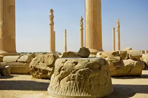 Alyssa Giustozzi: Apadana Palace, Persepolis, Iran
