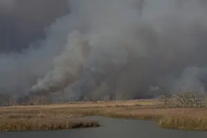Flames: Apalachicola Marsh Controlled Burn