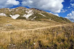 Apennines: Apennines habitat
