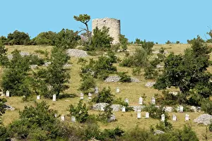 Apiaries: Apiary / Beehives - in typical Provence landscape