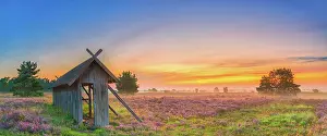 Apiary: Apiary, Lunenburg Heath, Undeloh, Lower Saxony
