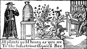 Books: Apiculture, Beekeeping, 18 Century