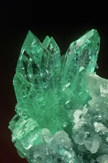 Maharashtra: Apophyllite Crystals
