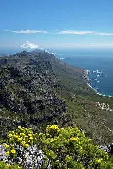 Twelve: The Twelve Apostles and Atlantic Seaboard