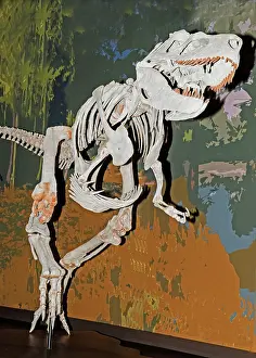 Bipedal: Appalachiosaurus