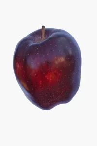 Superfood: Apple, Apple Red Delicious, Malus domestica Red