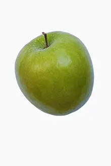 Smith: Apple, Granny Smith, Malus domestica Granny Smith
