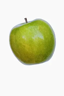 Smith: Apple, Granny Smith, Malus domestica Granny Smith