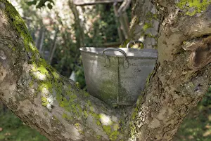 Pail: Apple