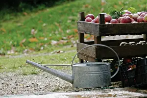 Collected: Apple