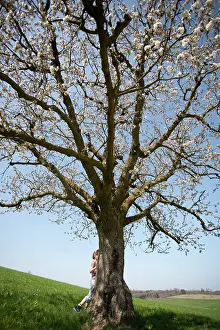 Relationship: Apple