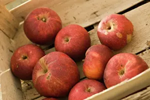 Collected: Apple