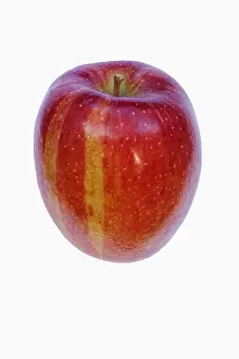 Perfume: Apple, Malus domestica Braeburn, Studio shot of