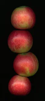 Discovery: Apple