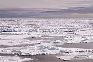 Tranquillity: Approaching the pack ice in the Arctic Ocean at 82 degrees a