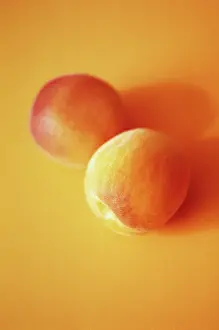 Armeniaca: Apricot