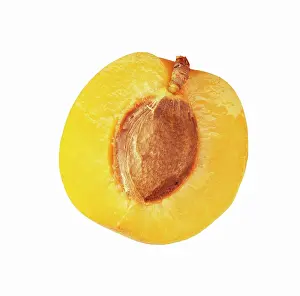 Armeniaca: Apricot