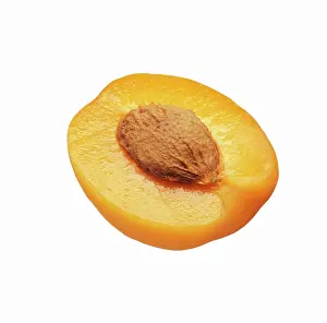 Armeniaca: Apricot