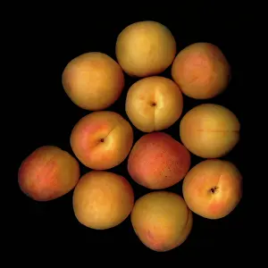 Apricot: Apricot