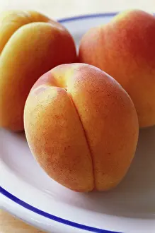 Apricot: Apricot