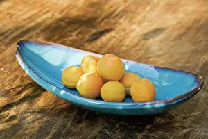 Apricot: Apricot