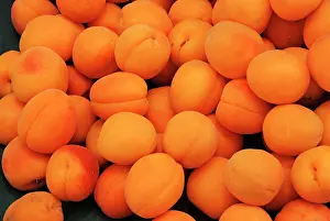 Apricots: Apricots - cultivated in southern Europe