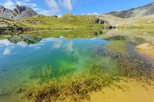 Ubaye: Aquatic plants in Lake Roburent, High Ubaye, Alps