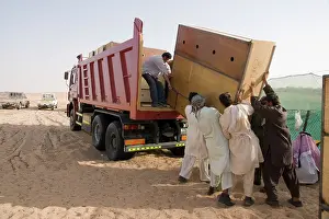 Trucks: Arabian Oryx - in transport box being loaded on