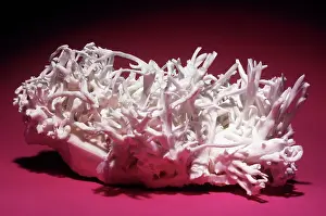 Ores: Aragonite from Styria, Austria
