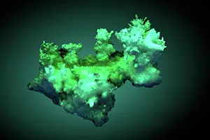 Sequence: Aragonite Under UV Light (2 of 2)