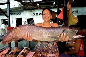 Selling: Arawana in MArket