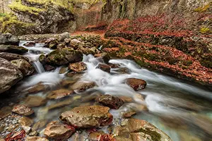 Sergio Arias: Arazas river in Ordesa valley