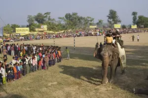 Competitions: Arbitrator on Elephant World Elephant Polo Terai Nepal