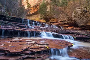 Zion: Archangel cascades in the Left Fork of the