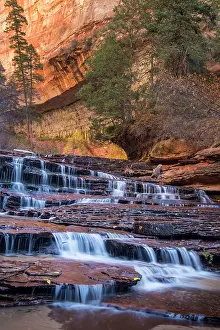 Zion: Archangel cascades in the Left Fork of the
