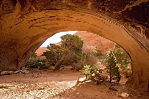 Curves: Arches National Park