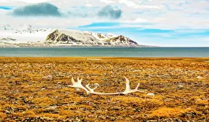 Murray Mccallum: Arctic Ocean, Svalbard Islands, Norway. Landscape view of