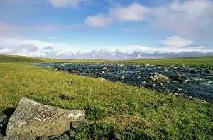 Siberia: Arctic tundra