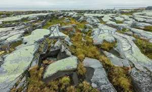 Glacial: Arctic tundra glacial boulder formation details in early