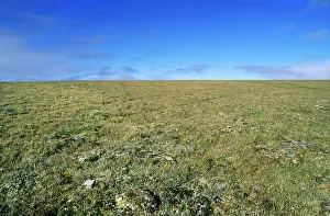 Siberia: Arctic tundra landscape